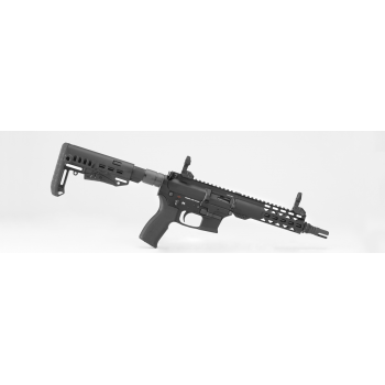 Carabine Legacy Armament...